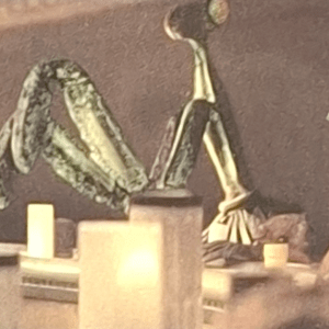 Kitik Keed'kak - Dark Side Premiere 95 BB